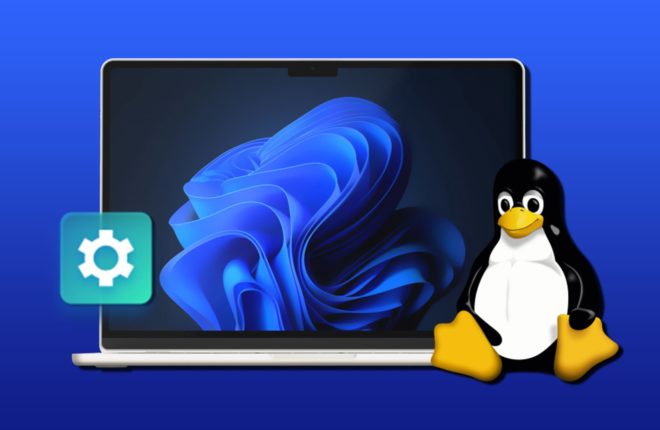 dual boot windows 11 and linux