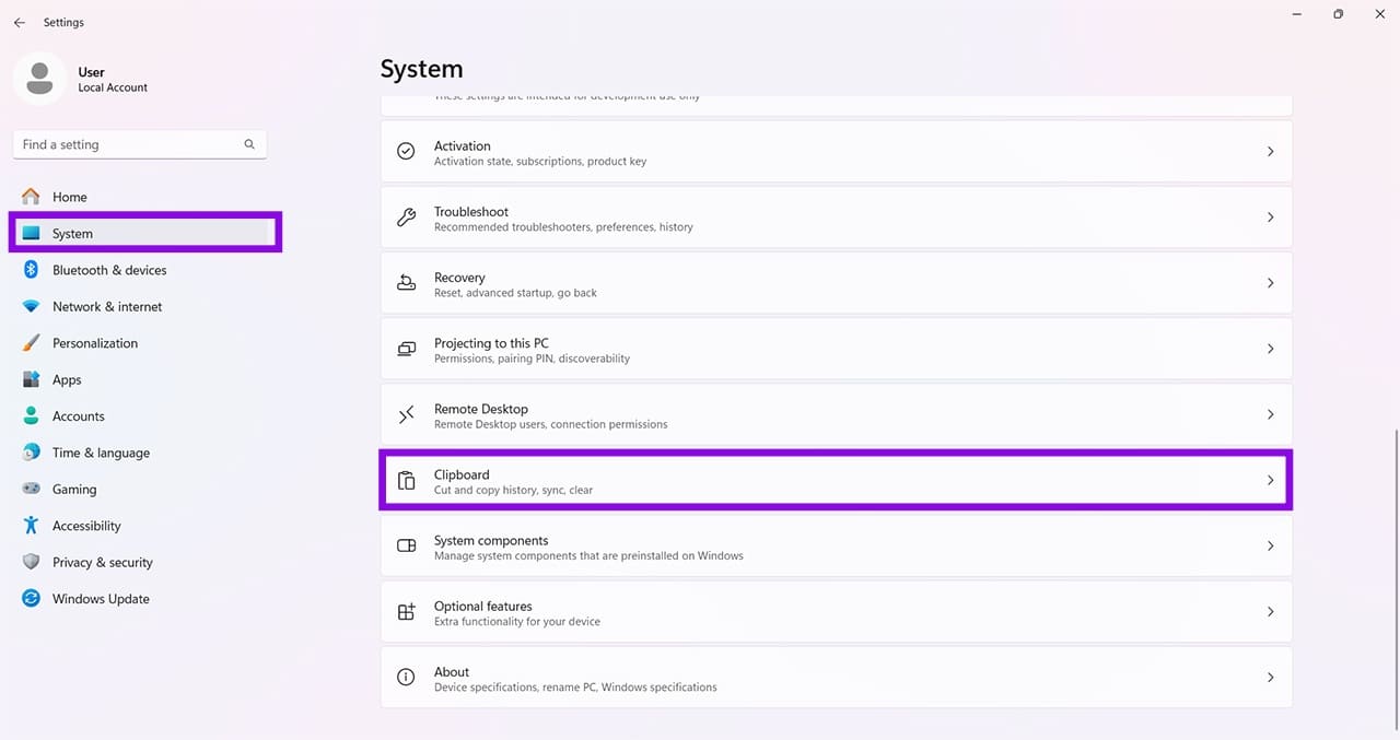 Screenshot Not Working (Windows 11) 1