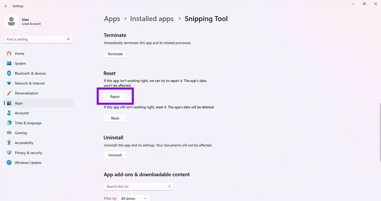 Screenshot Not Working (Windows 11) 13