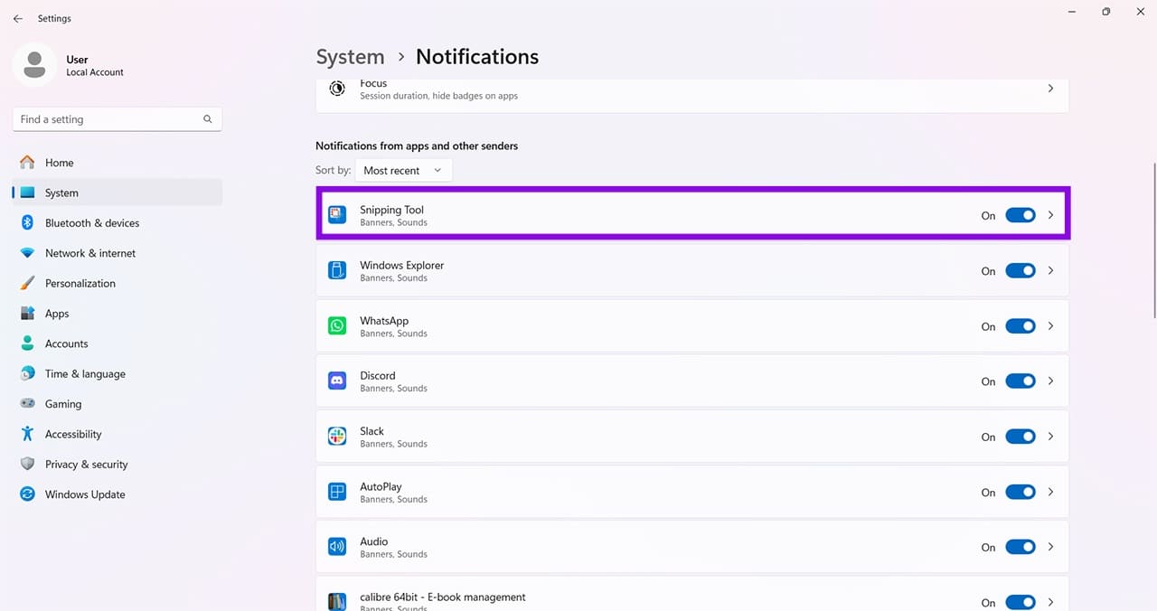 Screenshot Not Working (Windows 11) 6